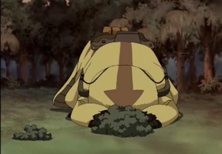 Appa és Momo - Elbújás